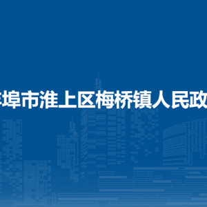 蚌埠市淮上區(qū)梅橋鎮(zhèn)退役軍人服務管理中心
