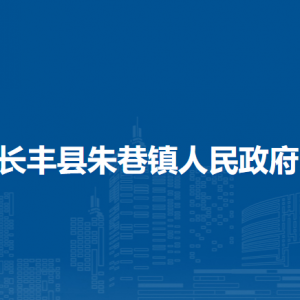 長豐縣朱巷鎮(zhèn)為民為企代理服務(wù)中心
