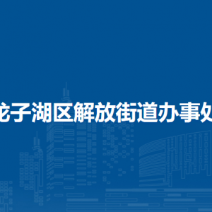 蚌埠市龍子湖區(qū)解放街道綜合執(zhí)法隊