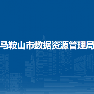 馬鞍山市數(shù)據(jù)資源管理局（市政務服務管理局）數(shù)字馬鞍山建設科