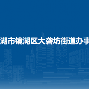 蕪湖市鏡湖區(qū)大礱坊街道辦事處綜合行政執(zhí)法大隊(duì)
