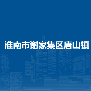 淮南市謝家集區(qū)唐山鎮(zhèn)綜合行政執(zhí)法大隊