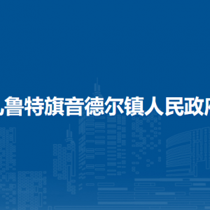 扎賚特旗音德爾鎮(zhèn)人民政府?黨群服務中心
