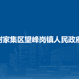 淮南市謝家集區(qū)望峰崗鎮(zhèn)?黨建工作辦公室（新時(shí)代文明實(shí)踐所）