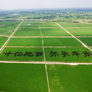 肥西縣豐樂鎮(zhèn)各村（社區(qū)）職責及聯系電話