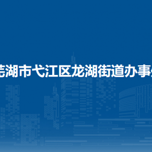 蕪湖市弋江區(qū)龍湖街道綜合行政執(zhí)法大隊(duì)