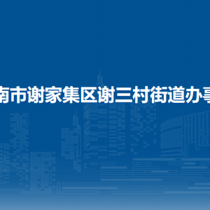 淮南市謝家集區(qū)謝三村街道為民服務(wù)中心（ 退役軍人服務(wù)站 ）