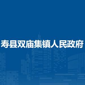 壽縣雙廟集鎮(zhèn)行政服務中心