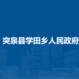 突泉縣學田鄉(xiāng)黨群服務(wù)中心(掛便民服務(wù)中心、退役軍人服務(wù)站、新時代文明實踐所牌子)