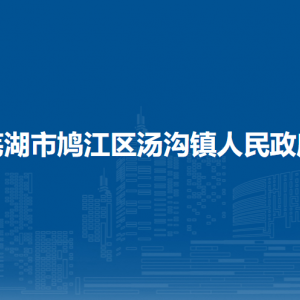 蕪湖市鳩江區(qū)二壩鎮(zhèn)社會事務(wù)辦公室