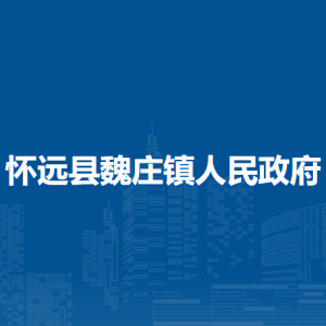 懷遠縣魏莊鎮(zhèn)為民服務中心