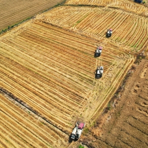 肥西縣高店鎮(zhèn)政府各部門負責人及聯(lián)系電話
