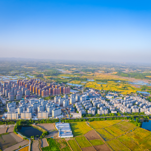 肥西縣柿樹崗鄉(xiāng)基層站所地址工作時(shí)間和聯(lián)系電話