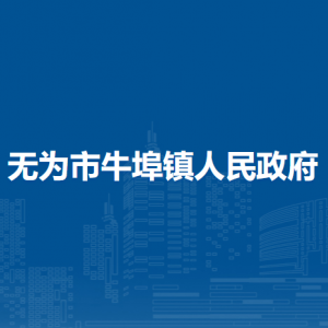 無為市牛埠鎮(zhèn)便民服務中心（退役軍人服務中心）