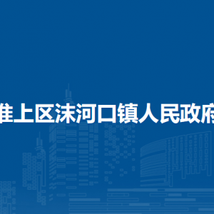 蚌埠市淮上區(qū)沫河口鎮(zhèn)為民服務(wù)中心