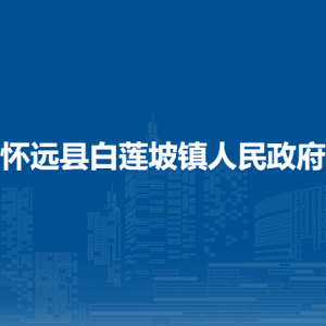 懷遠(yuǎn)縣白蓮坡鎮(zhèn)為民服務(wù)中心（退役軍人服務(wù)站）