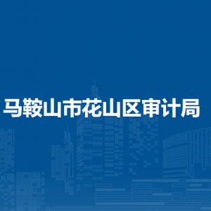 馬鞍山市花山區(qū)審計(jì)局辦公室