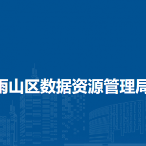 馬鞍山市雨山區(qū)政務(wù)服務(wù)監(jiān)督室（區(qū)政務(wù)服務(wù)中心）