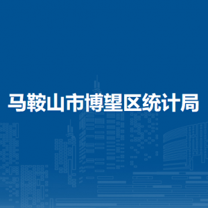 馬鞍山市博望區(qū)普查中心