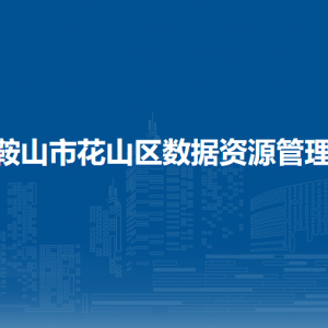 馬鞍山市花山區(qū)數(shù)據(jù)資源管理局業(yè)務(wù)科
