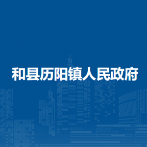 和縣歷陽鎮(zhèn)司法所