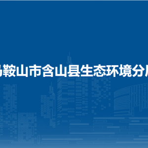 馬鞍山市含山縣生態(tài)環(huán)境分局辦公室