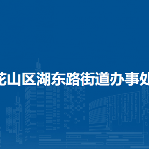 馬鞍山市花山區(qū)湖東路街道社會(huì)事務(wù)辦公室