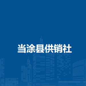 當涂縣供銷社辦公室