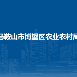 馬鞍山市博望區(qū)水利服務(wù)中心