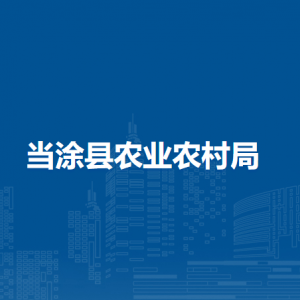 當(dāng)涂縣農(nóng)業(yè)農(nóng)村局鄉(xiāng)村建設(shè)促進(jìn)股