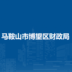 馬鞍山市博望區(qū)財政局預(yù)算辦公室