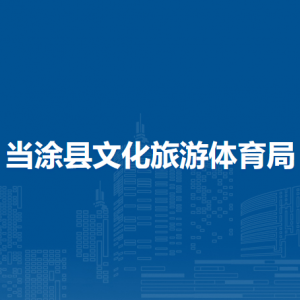 當(dāng)涂縣文化旅游體育局廣播電視股