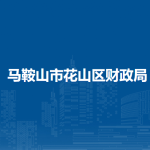 馬鞍山市花山區(qū)財(cái)政局非稅中心