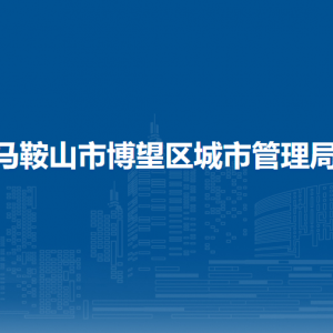 馬鞍山市博望區(qū)城市管理局黨建辦公室