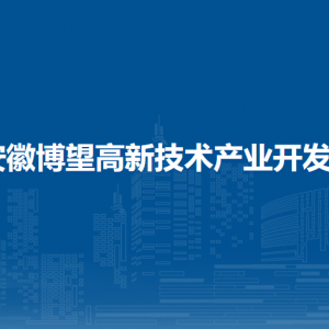 安徽博望高新技術(shù)產(chǎn)業(yè)開(kāi)發(fā)區(qū)應(yīng)急管理和生態(tài)環(huán)境局