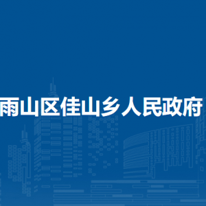 馬鞍山市雨山區(qū)佳山鄉(xiāng)政府物業(yè)管理辦公室