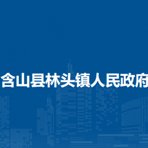 含山縣林頭鎮(zhèn)民政辦