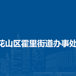 馬鞍山市花山區(qū)霍里街道霍里街道司法所