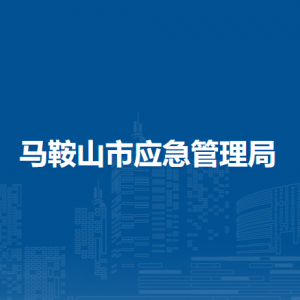 馬鞍山市應急管理局綜合協(xié)調(diào)科