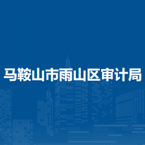 馬鞍山市雨山區(qū)審計(jì)局辦公室