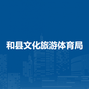 和縣文化旅游體育局辦公室