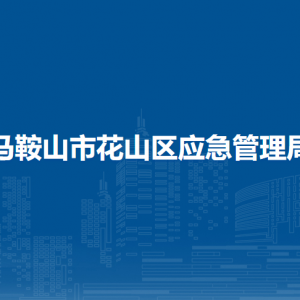 馬鞍山市花山區(qū)應急管理綜合行政執(zhí)法大隊