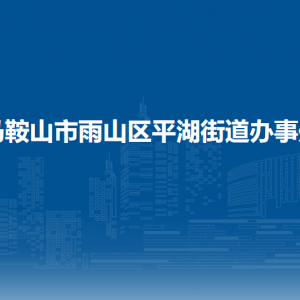 馬鞍山市雨山區(qū)平湖街道黨政綜合辦公室