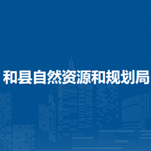 和縣自然資源和規(guī)劃局土地儲備中心