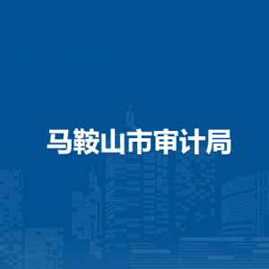 馬鞍山市審計局國有企業(yè)審計室