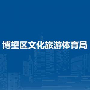 馬鞍山市博望區(qū)文化廣電服務中心