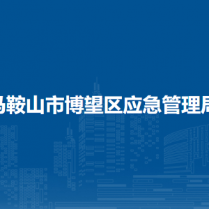 馬鞍山市博望區(qū)應(yīng)急管理綜合行政執(zhí)法大隊(duì)