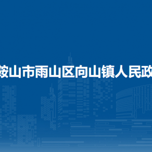 馬鞍山市雨山區(qū)向山鎮(zhèn)黨政綜合辦公室
