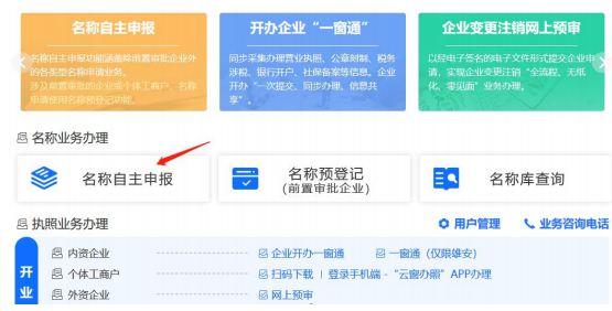 登錄名稱(chēng)自主申報(bào)系統(tǒng)
