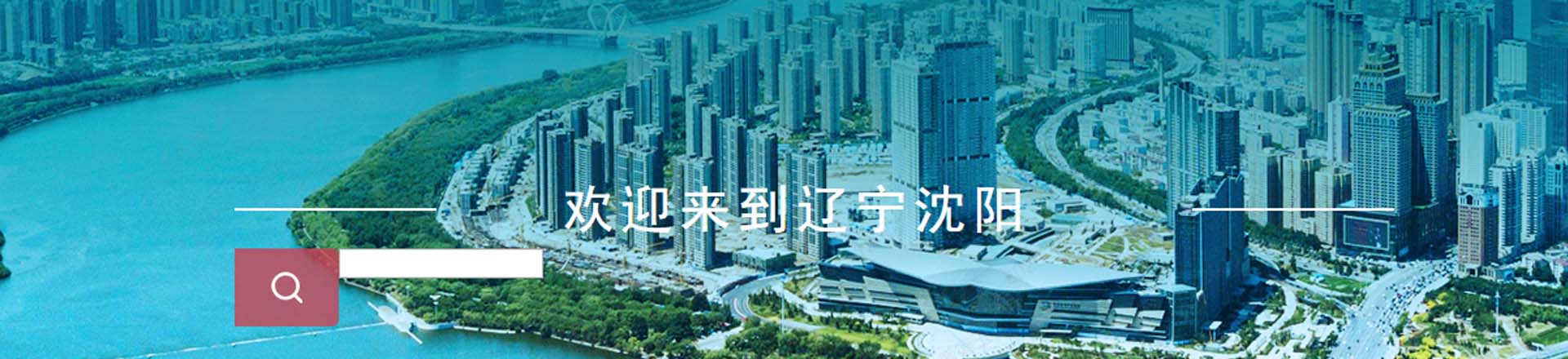 沈陽政務(wù)服務(wù)網(wǎng)上辦事大廳